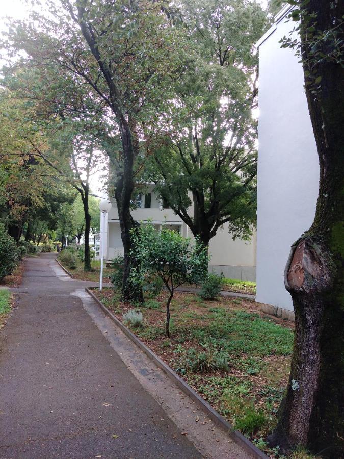 Herberg Boarding House Lucija